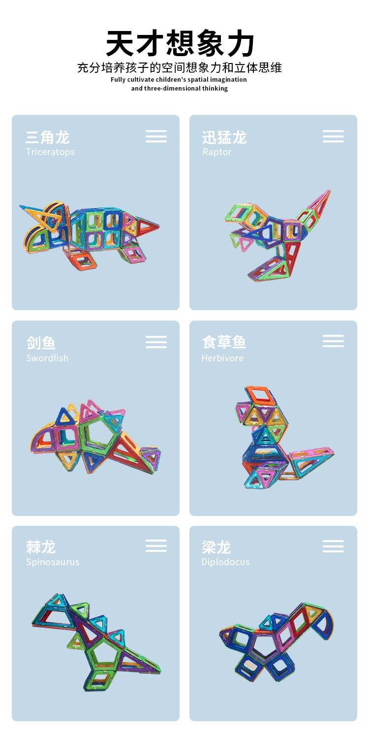 Educational 3D Magnet Building Blocks